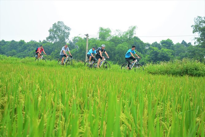 Bicycle Tours Hanoi: Full Day Bicycle Tour Hanoi Countryside - Market fruit, lotus lake, and a cool drink
