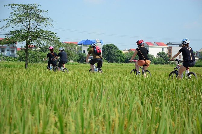 Bicycle Tours Hanoi: Full Day Bicycle Tours City & Countryside - Starting at the Hanoi Opera House at 8:00 am