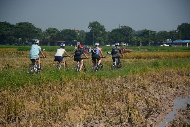 Bicycle Tours Hanoi: Full Day Bicycle Tours City & Countryside - Lunch, tropical fruit, and sugarcane juice