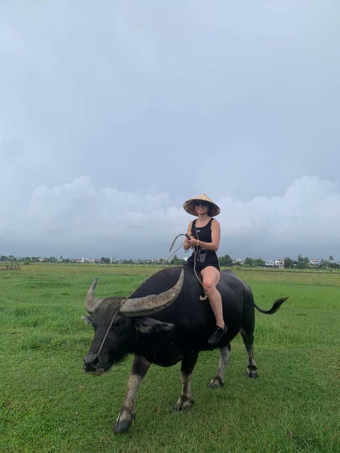 BUFFALO RIDING -BASKET BOAT & BIKE TOUR-HOI AN - A substantial Vietnamese lunch or dinner