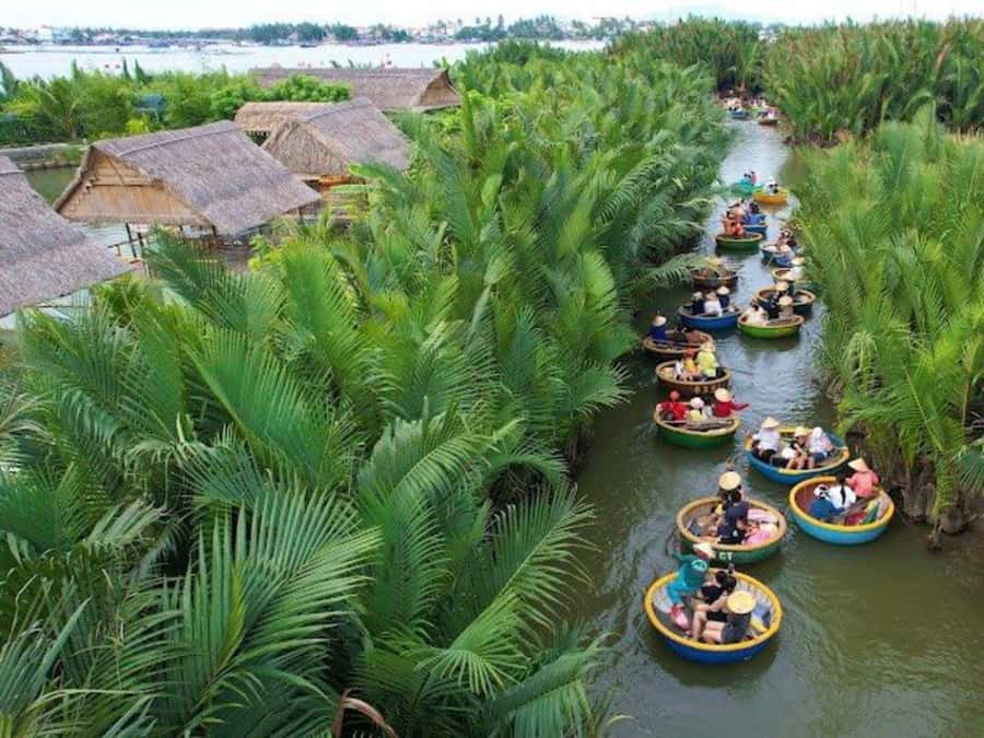 BUFFALO RIDING -BASKET BOAT & BIKE TOUR-HOI AN - How much value do you get for $29?
