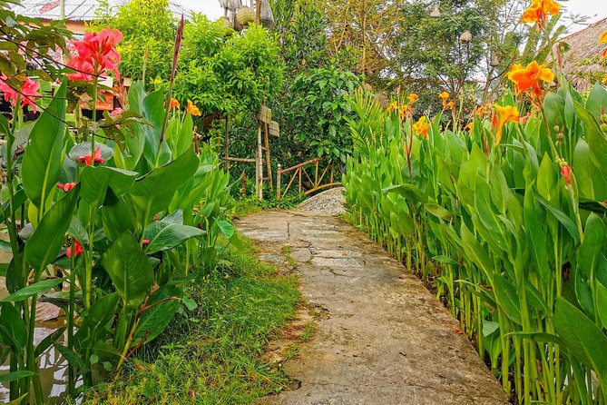Cai Be Village - One-Day Mekong Delta Adventure - Fruit, Honey Tea, and Southern Folk Music