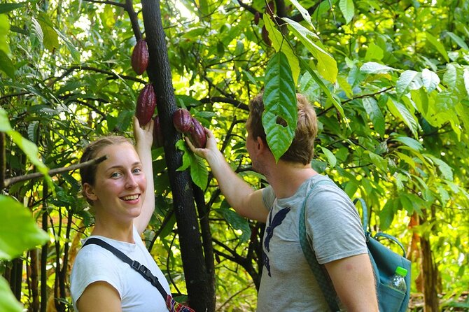 Cai Rang floating market, Cacao & hidden small canal - Chocolate at Muoi Cuong Cocoa Farm