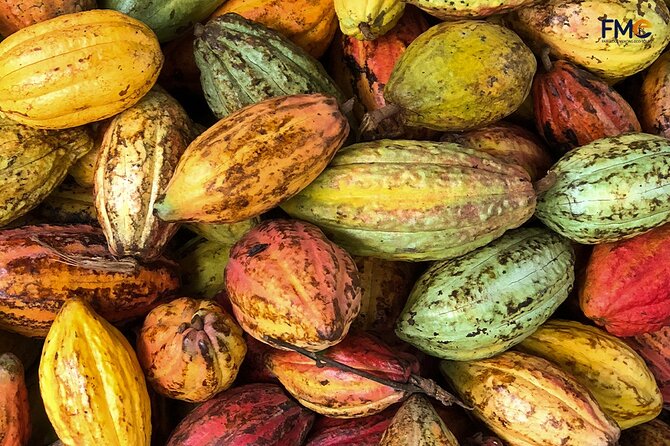 Cai Rang floating market, Cacao & hidden small canal - What the $33 price includes