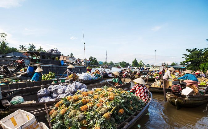 Cai Rang Floating Market & Mekong Delta Private 1-Day Tour - Why This Tour Works for a One-Day Mekong Visit