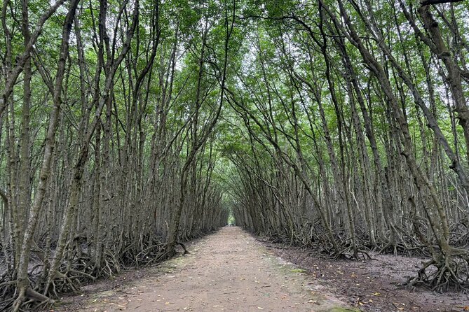 Can Gio Mangrove Adventure: Speedboat with Monkey Island - Vietnamese lunch and beach time