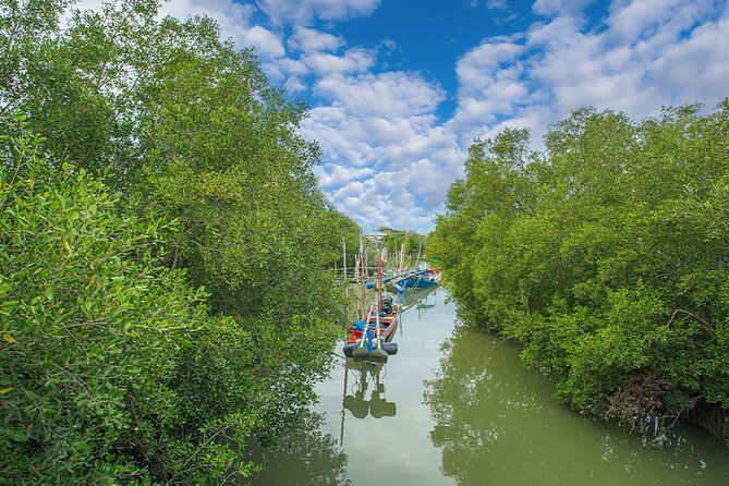 Can Gio Mangrove Forest 1 day tour - The early pickup from District 1