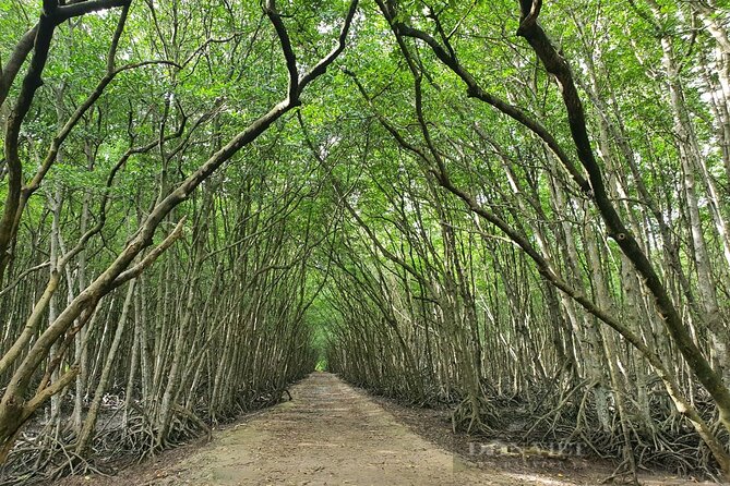 Can Gio Mangrove Forest 1 day tour - Crocodiles, wild animals, and the mangrove forest