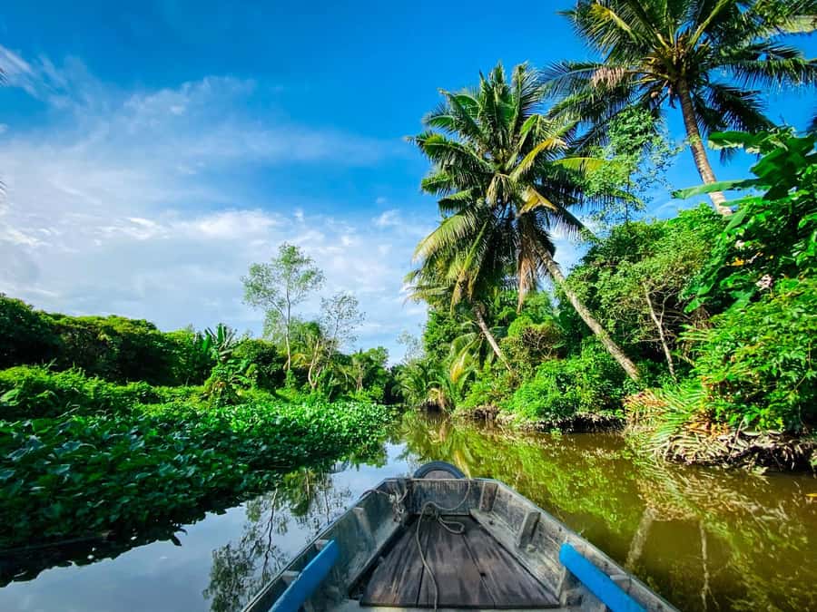 Can Tho: A Real Mekong Tour, Floating Market, Cacao & Life's - Quiet canals under nipa palm and water coconut