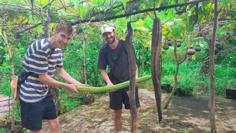 Can Tho: Authentic Mekong Delta – Real Local Life Tour. - Tropical fruit, green tea, and a garden hut