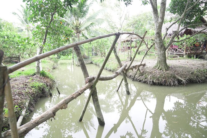 Can Tho Floating Market and Fruit Garden Tour - The fruit garden and seasonal produce