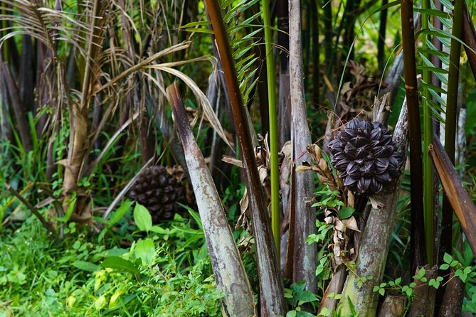 Can Tho Floating Market and Fruit Garden Tour - Price, group size, and what you receive