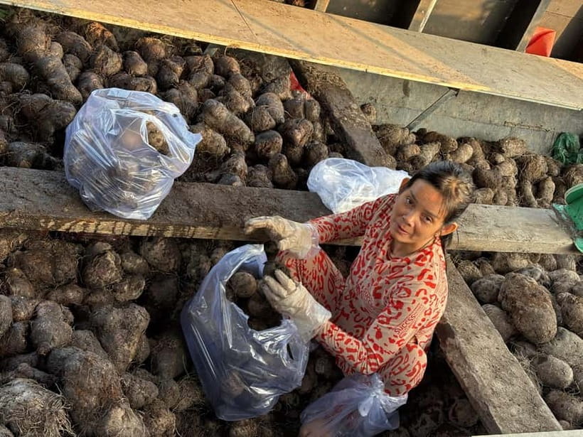 Can Tho: Floating Market, Cacao & Canals with French Guide - A short walk through rural villages