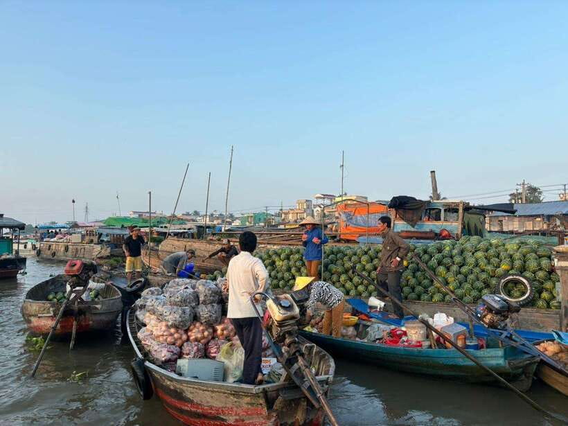 Can Tho: Floating Market, Canal, Cacao Farm & Mekong' Life - At a glance: what makes this Can Tho morning special