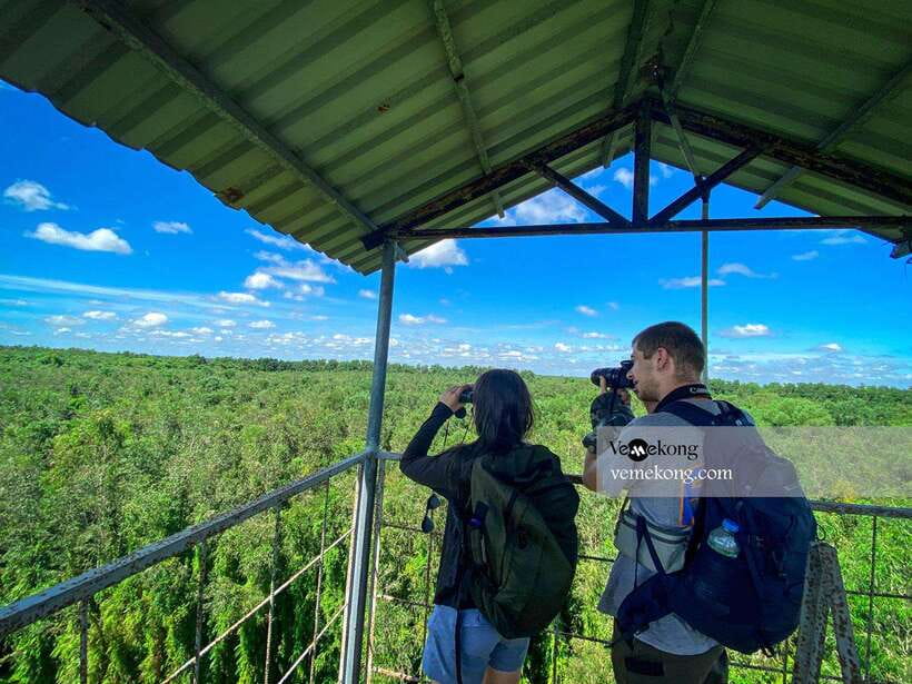 Can Tho: Lung Ngoc Hoang Nature Reserve & Forest Tour - Why Lung Ngoc Hoang makes a good change from Can Tho’s markets
