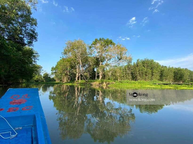 Can Tho: Lung Ngoc Hoang Nature Reserve & Forest Tour - The 25-meter tower and seasonal rice fields