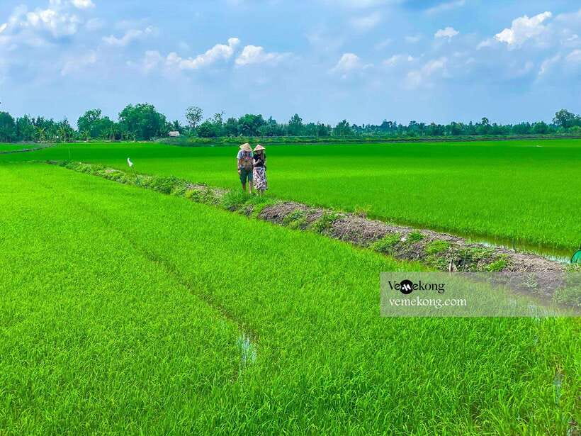 Can Tho: Lung Ngoc Hoang Nature Reserve & Forest Tour - Local fruit, coconut, and small extras