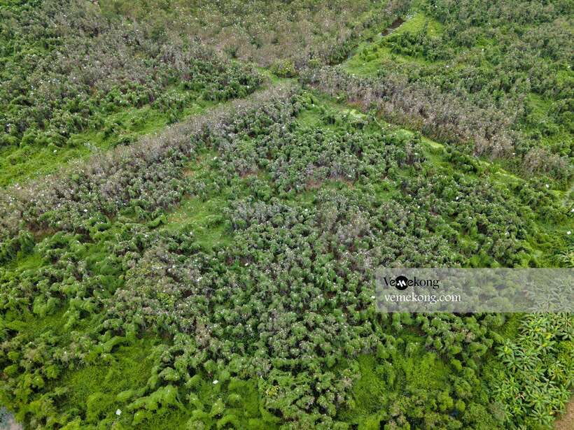 Can Tho: Lung Ngoc Hoang Nature Reserve & Forest Tour - Which departure time should you choose?