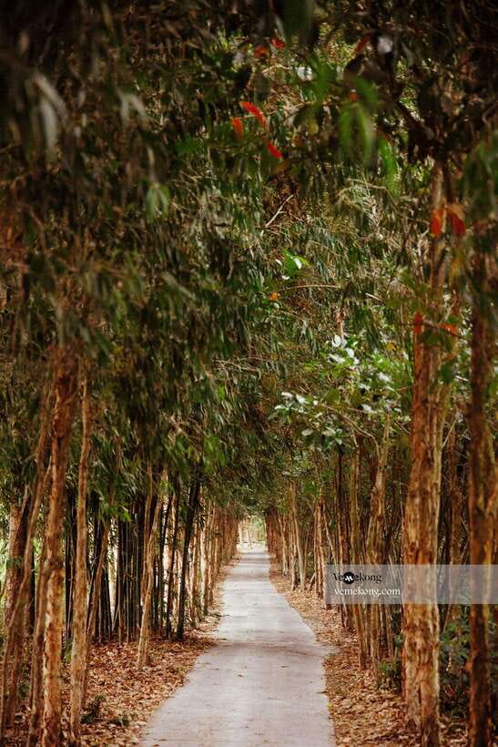 Can Tho: Lung Ngoc Hoang Nature Reserve & Forest Tour - The one-hour drive from Can Tho