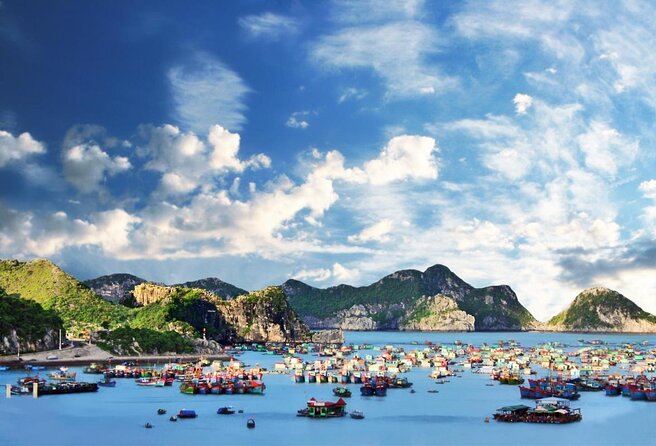 Cat Ba Cruise 2 Days 1 Night - Five Details That Shape the Experience