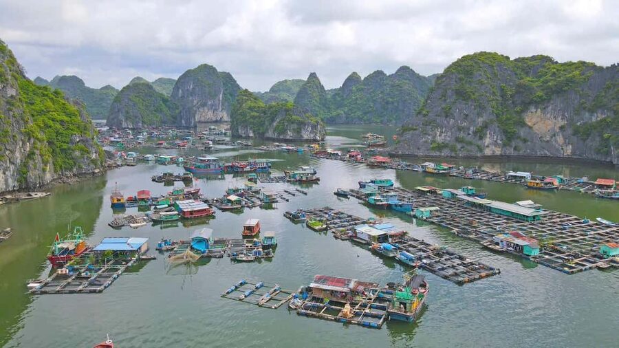 Cat Ba/Ha Noi: Lan Ha and Monkey Island Full Day Boat Trip - Monkey Island, monkeys, and the optional climb