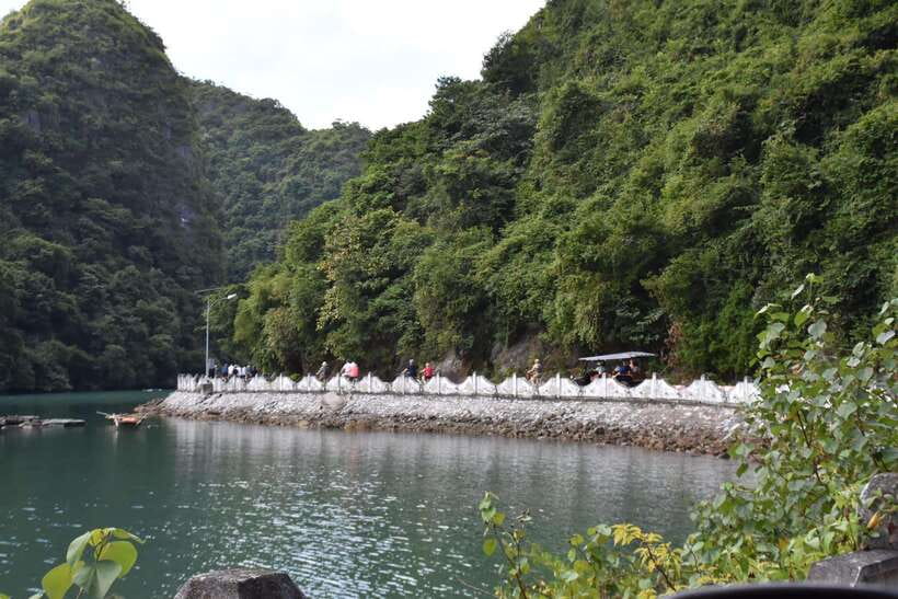 Cat Ba: Lan Ha, HaLong bay full day- biking, kayaking, lunch - The fish massage and local welcome
