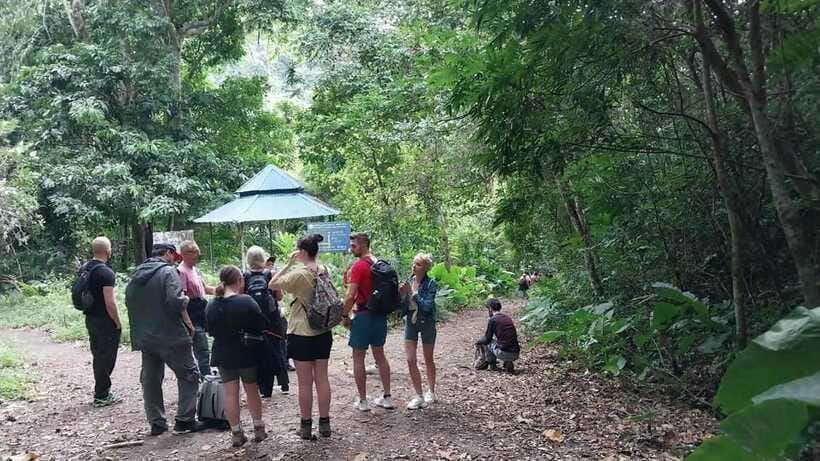 Cat Ba: National Park Day Trip with Cycling and Kayaking - The downhill route to Viet Hai Village
