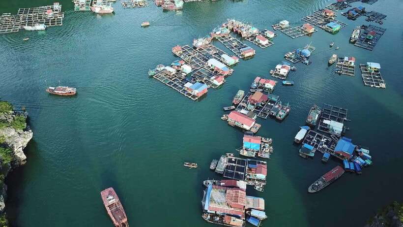 Cat Ba: Sunset on Lan Ha Bay with Sunset Party - Kayaking, swimming, and the practical side of getting wet