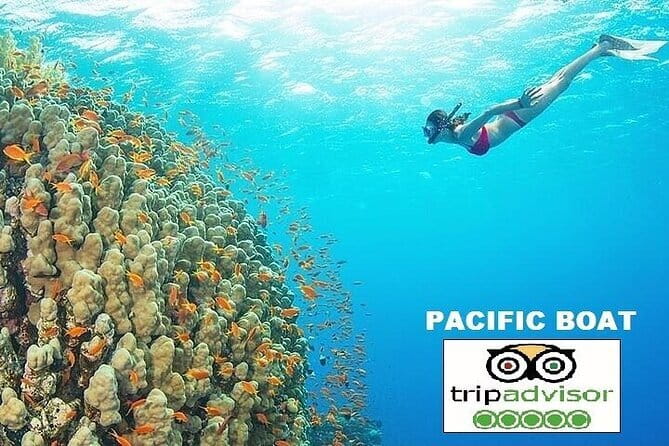 Cham island snorkeling tour - Key points at a glance
