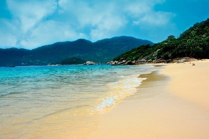 Cham island snorkeling tour - Lunch, drinks, and the food value