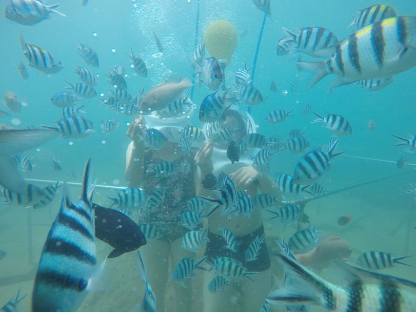 Cham Island: Underwater Walking & Snorkeling Tour - How the underwater walking works