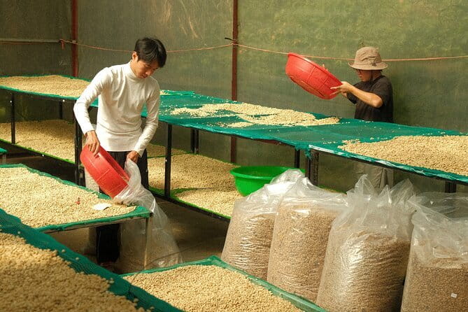 Coffee Farm Tour with Roasting & Tasting Workshop - Da Lat - How the small group affects the experience
