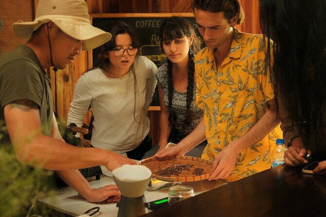 Coffee Farm Tour with Roasting & Tasting Workshop - Da Lat - Walking through the Arabica plantation