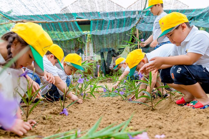 Cooking Class Hoi An - Organic Garden - Farming Tour-Handicrafts - Is $33.63 good value?