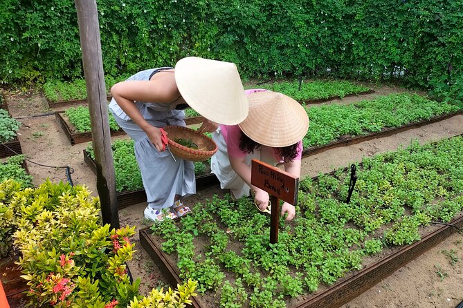 Cooking Class Hoi An - Organic Garden - Farming Tour-Handicrafts - Timing, weather, and practical planning