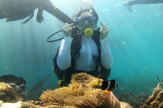 Coral Reef Snorkeling and Floating Bar Party from Nha Trang - Seafood lunch at Con Sẻ Tre