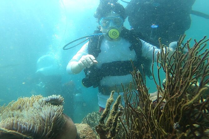 Coral Reef Snorkeling and Floating Bar Party from Nha Trang - Starting at 8 a.m. in central Nha Trang