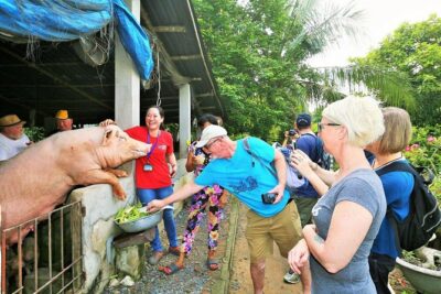 Cu Chi Tunnels Experience from Ho Chi Minh City