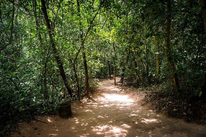 Cu Chi Tunnels Half-Day Tour: Vietnam War Underground Network - Going Underground: What the Tunnel Visit Feels Like