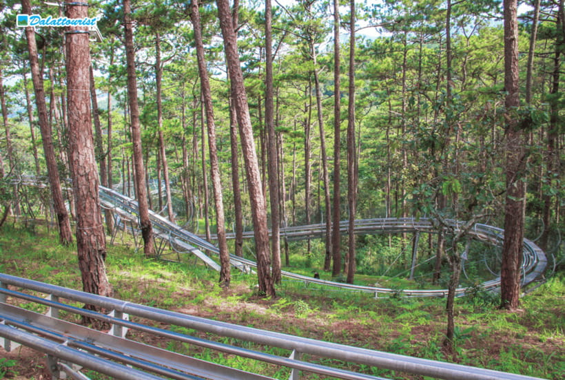 Da Lat: Datanla New Alpine Coaster Experience Entry Ticket - Riding the 2,400-meter alpine coaster