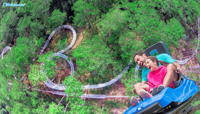 Da Lat: Datanla New Alpine Coaster Experience Entry Ticket - The ticket detail that can make or break your visit