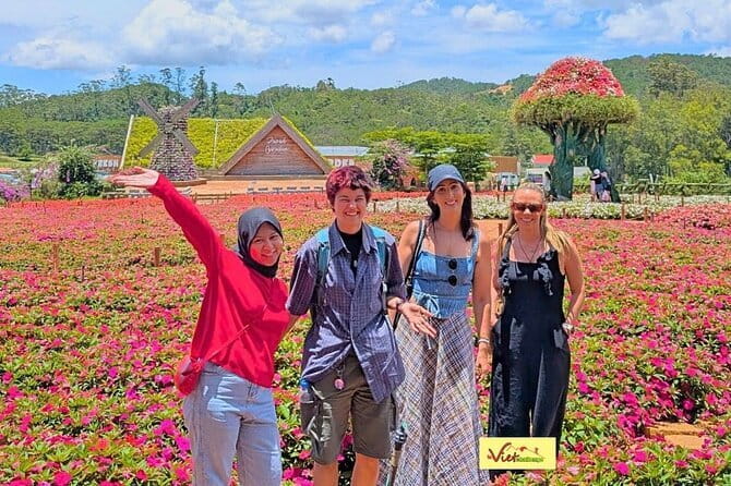 Da Lat: Half-Day Morning - Clay Tunnel, Crazy House, Datanla Fall - Why this Da Lat combination works