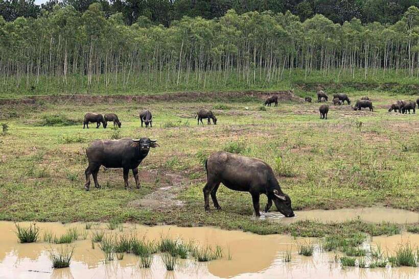 Da Lat Loop Tour On Private Car - Key points to know before booking