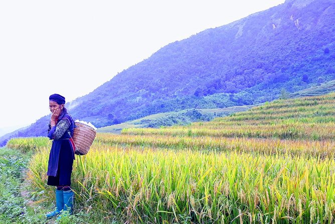 Daily Tour: Sapa Trekking in Muong Hoa valley, Bamboo forest - Why Muong Hoa Valley works so well for a first Sapa trek