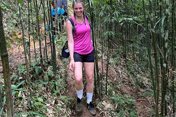 Daily Tour: Sapa Trekking in Muong Hoa valley, Bamboo forest - How difficult is the trekking?