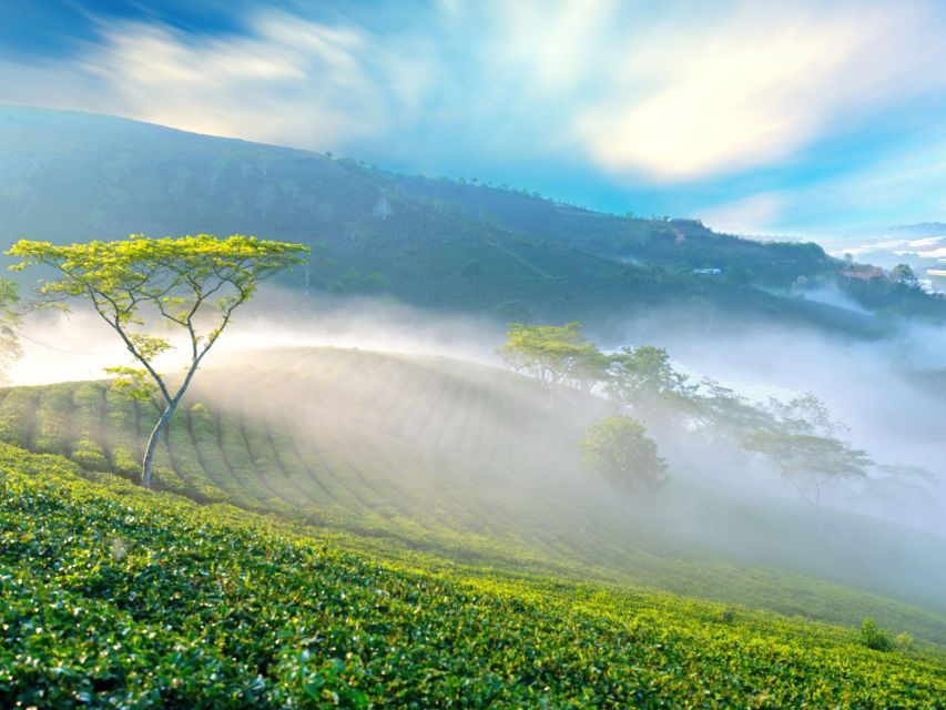 Dalat: Best of the Countryside Tour in a Private Car - Why this private day trip works