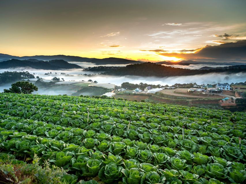 Dalat: Best of the Countryside Tour in a Private Car - Chicken Village and the elephant coffee stop