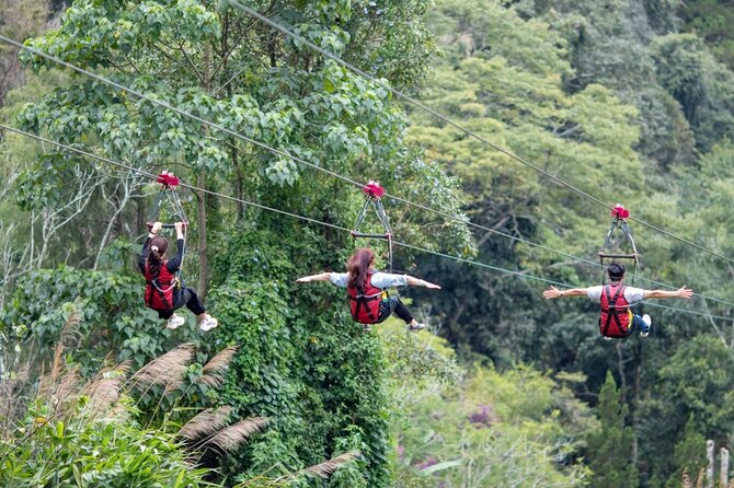 DaLat Canyoning & Experience 1500m Zipline - The 1,500-meter forest zipline