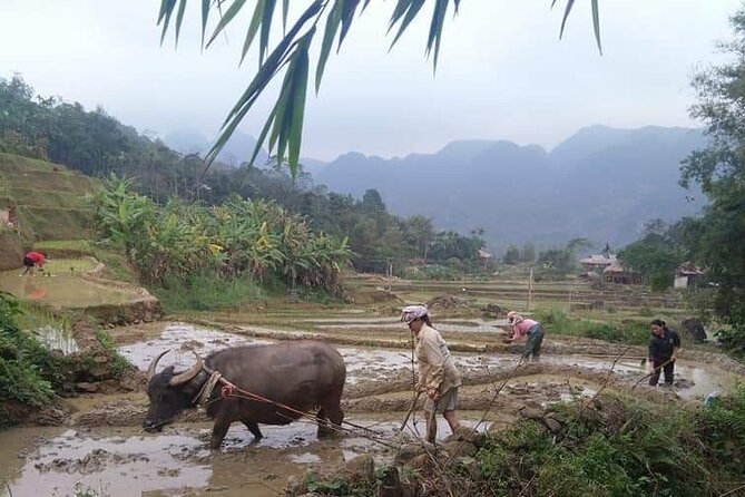 Dalat Countryside Motorbike Day Tour–Coffee Farms & Pagodas - Me Linh Coffee Garden and Vietnamese Coffee