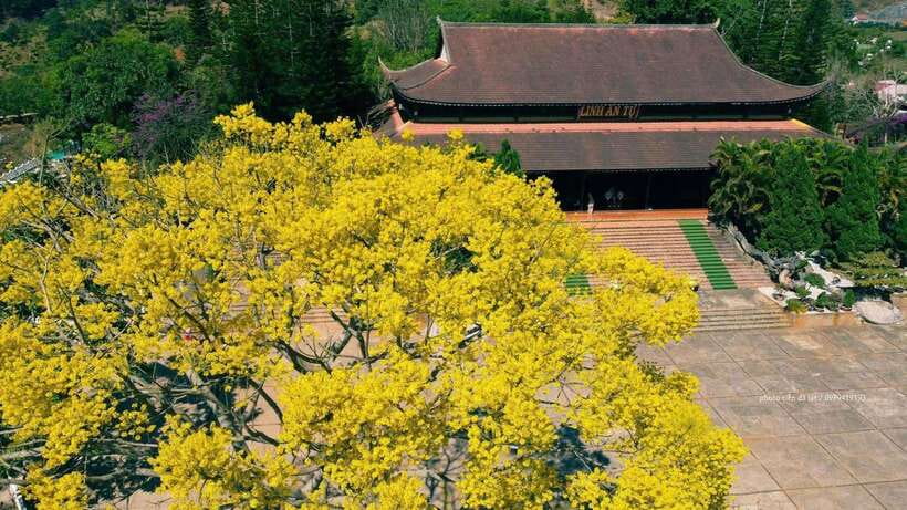 Dalat Countryside & Pongour Waterfall Tours (Small Group) - Why this tour works for a first full day in Dalat